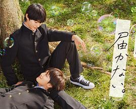 黄山关键词seo优化排名哪里有